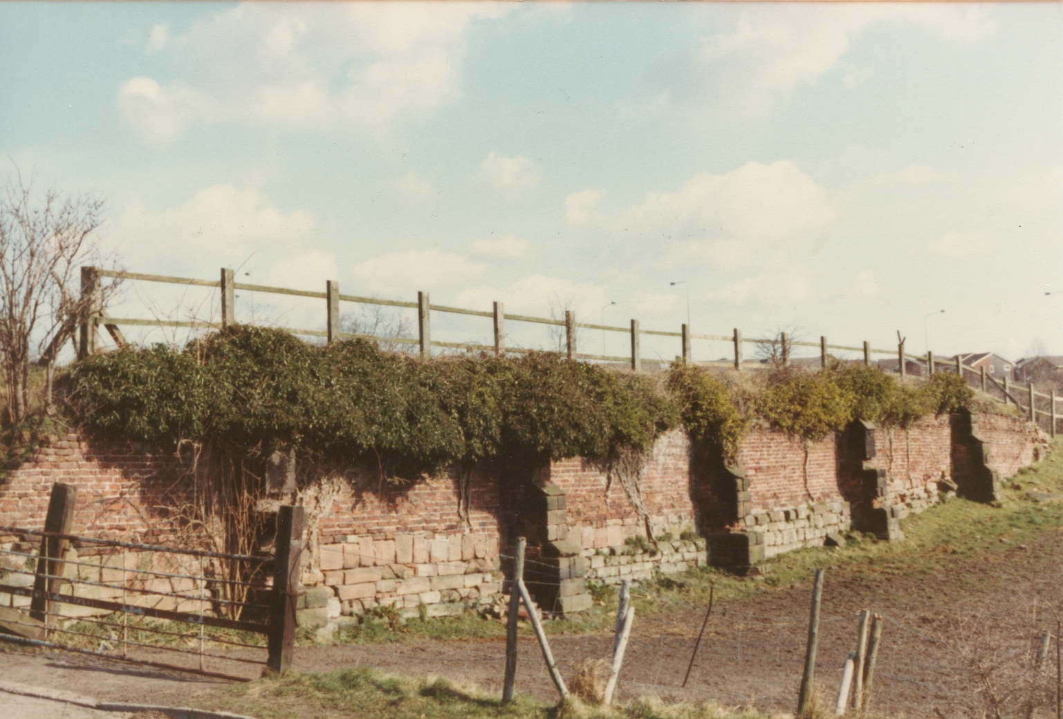 Old Mansion Garden wall