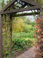 The kitchen garden