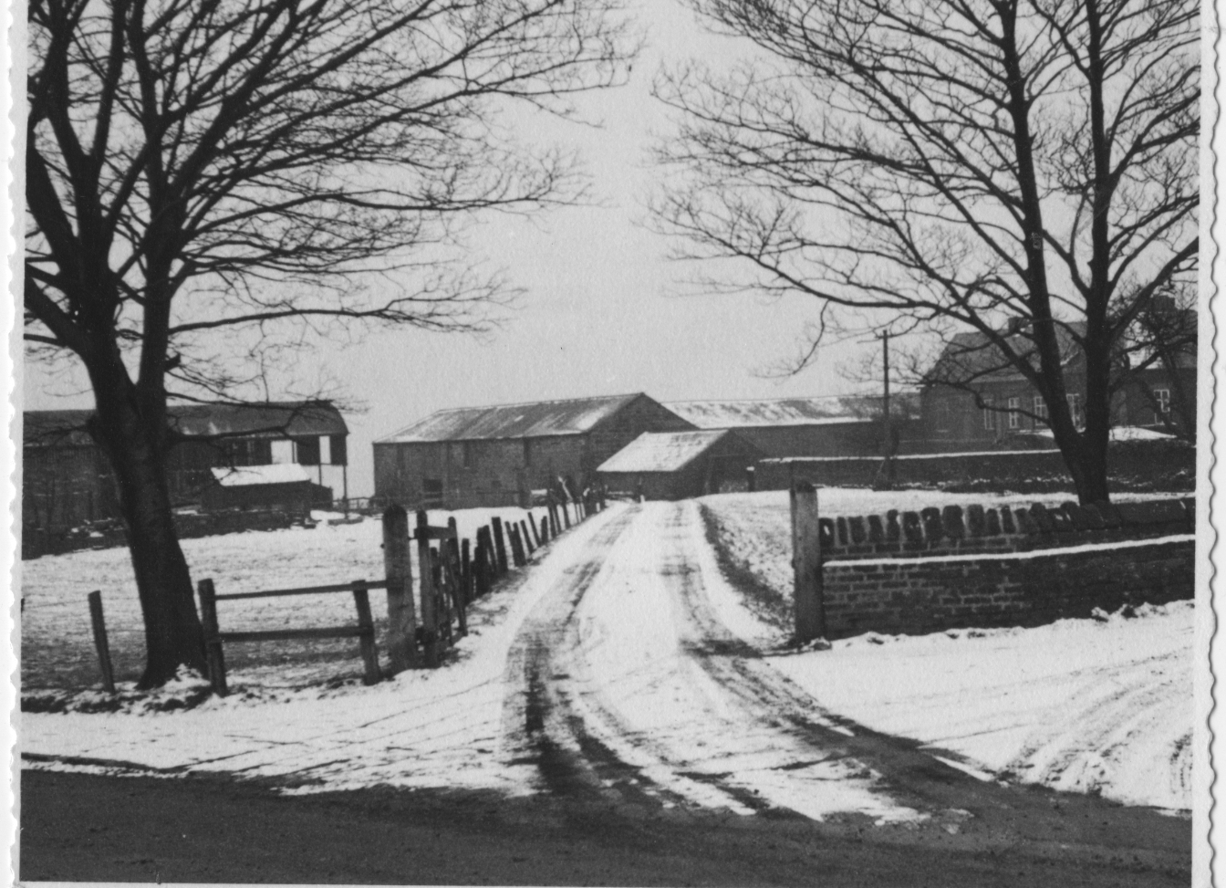 Winter
