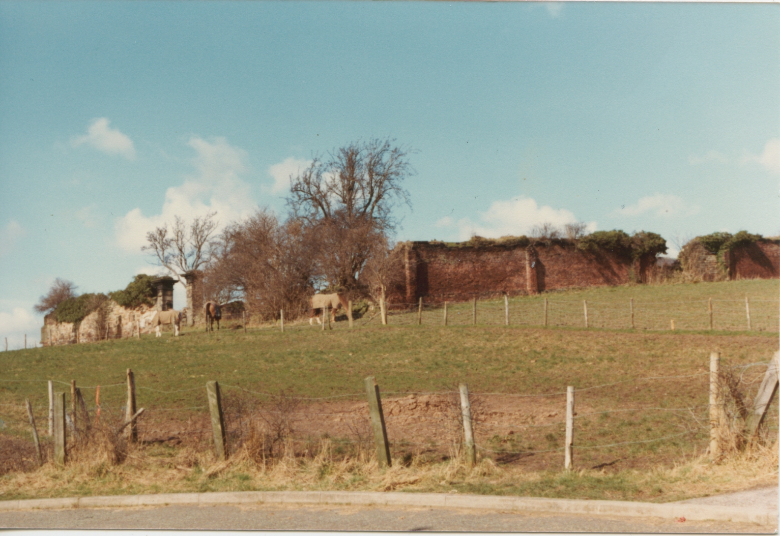 Orchard wall