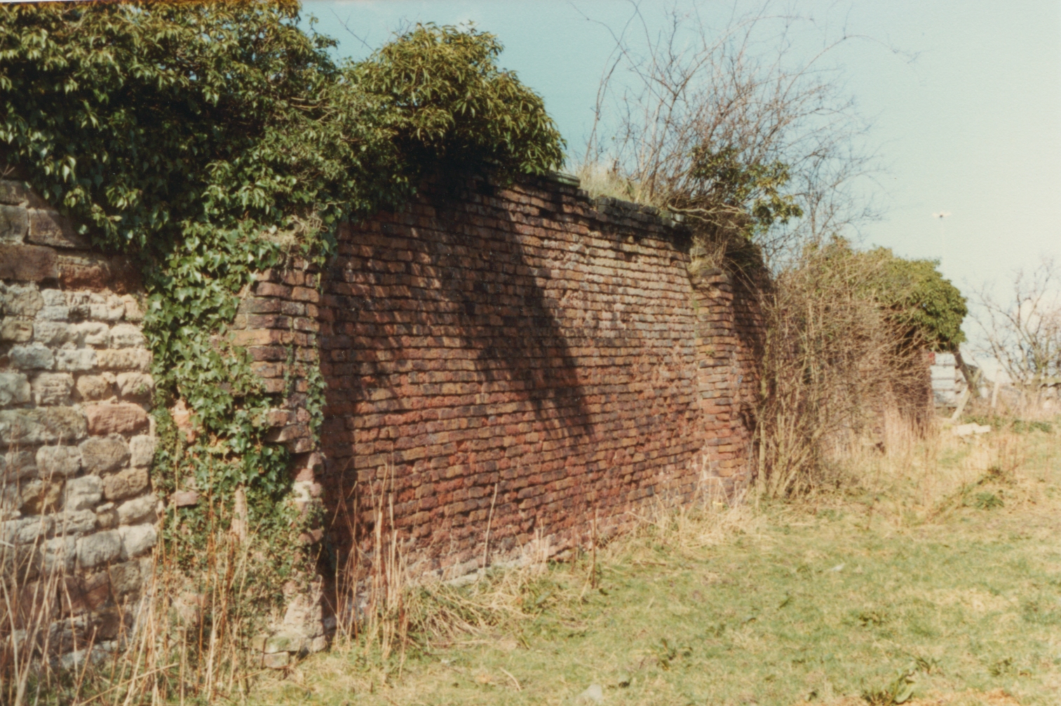Old Mansion Garden wall