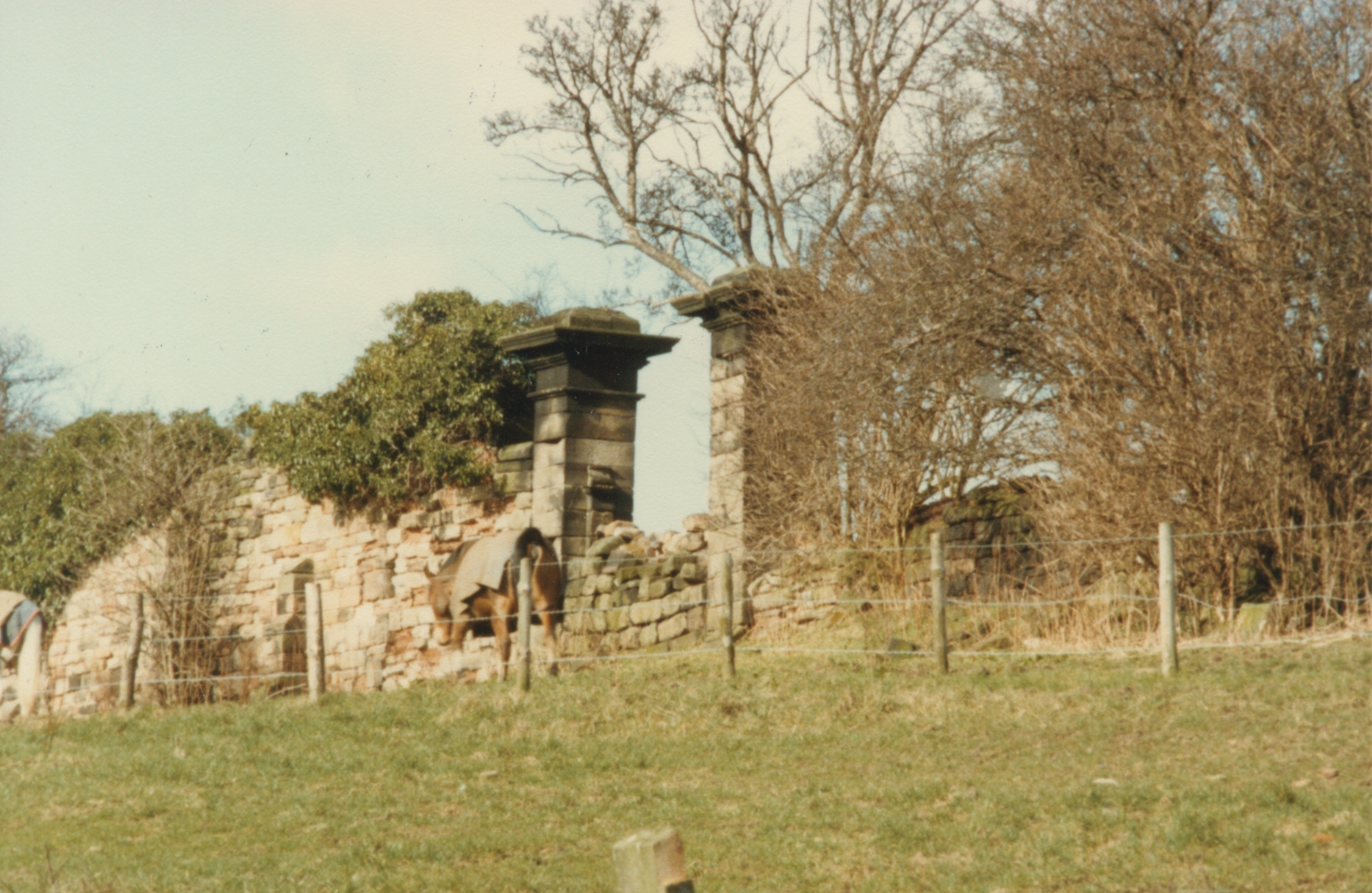 Orchard Gateposts