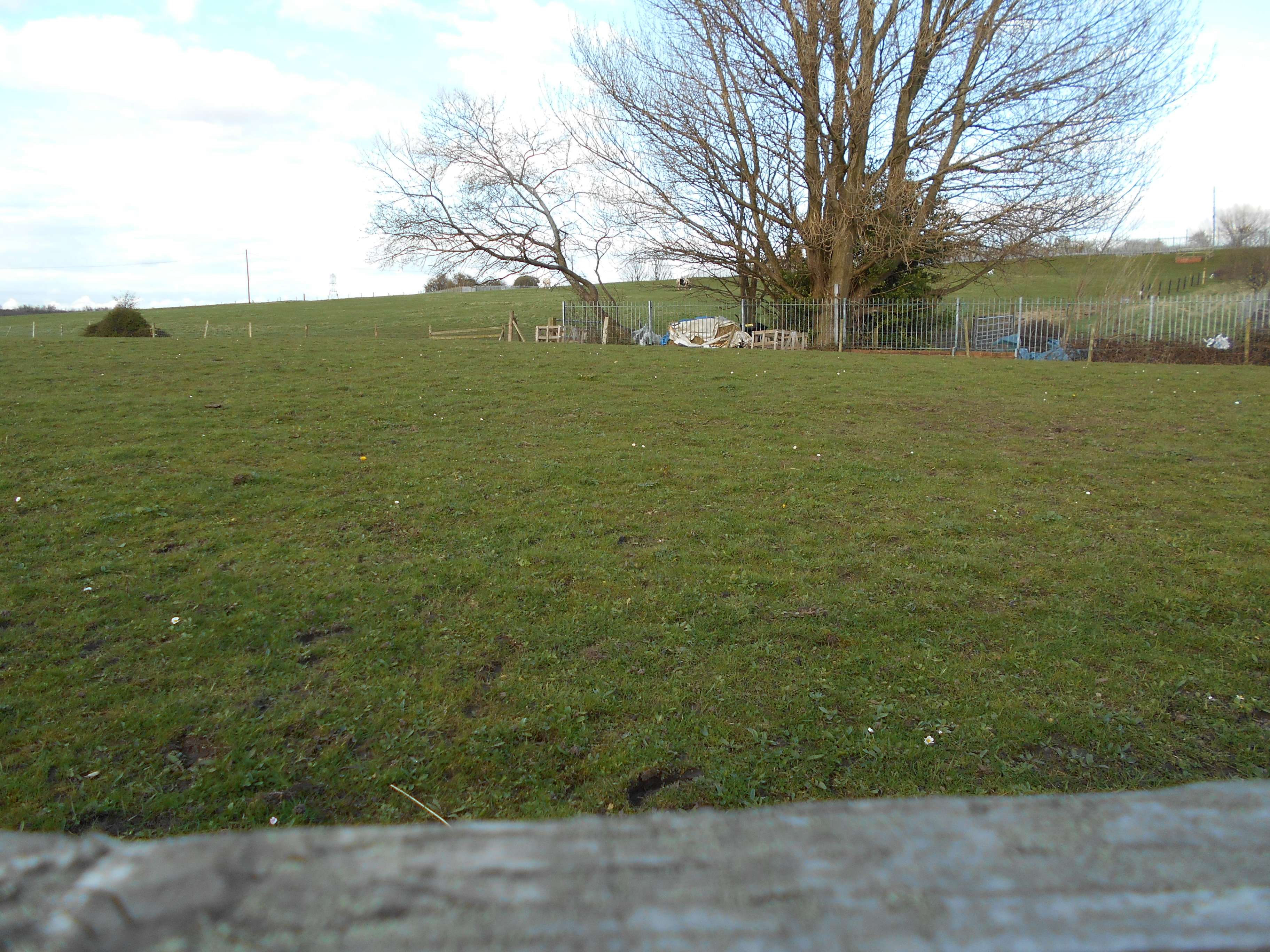 Weston Catholic school, the site today
