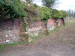 garden wall