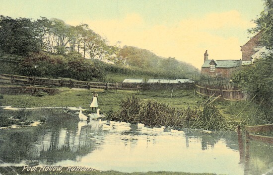 Pool Hollow